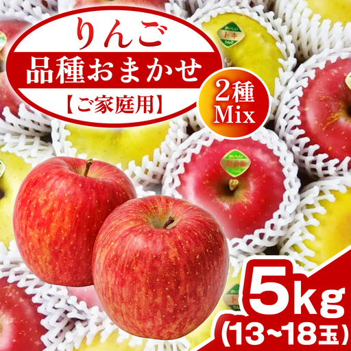 【ご家庭用】りんご 品種おまかせ 2種Mix 5kg (FH002) りんご