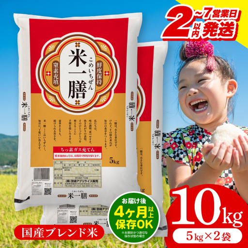 米 10kg 米 [ブレンド米 2～7営業日以内に発送予定]
