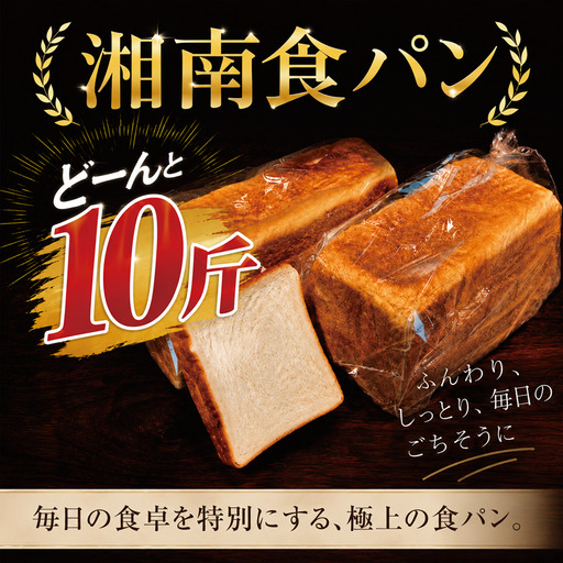 食パン 10斤 計5本  食パン【数量限定】