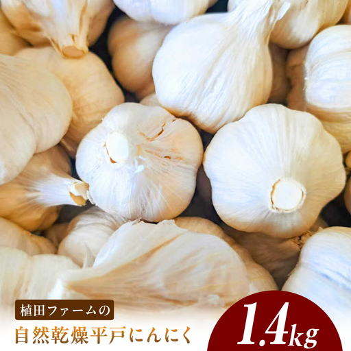 植田ファームの自然乾燥平戸にんにく約1.4kg /ガーリック ニンニク 高知県 土佐市 [株式会社 植田ファーム][BQAT023]