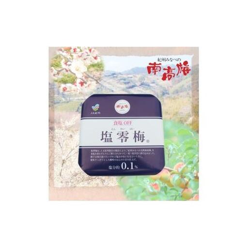 N073　塩零梅
