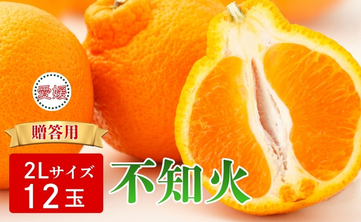 [2027年先行予約]みかん 不知火 2Lサイズ 12玉 贈答用 [2027年3月中旬順次発送予定] 数量限定 愛媛みかん ミカン 蜜柑 果物 くだもの フルーツ 柑橘 かんきつ 柑橘類 おすすめ 人気 国産 伊予市 愛媛|