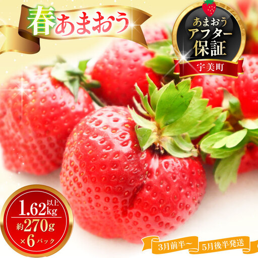 いちご あまおう 春あまおう 270g以上 6p 計1620g以上 【3月前半～5月後半発送】 期間限定 いちご