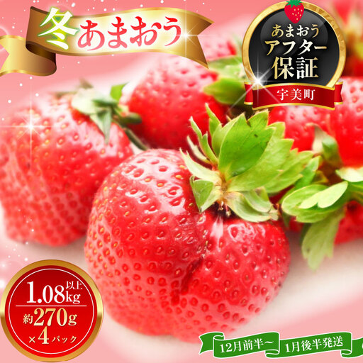 いちご あまおう 冬あまおう 270g以上 4p 計1080g以上 【12月前半～1月後半発送】 期間限定 いちご