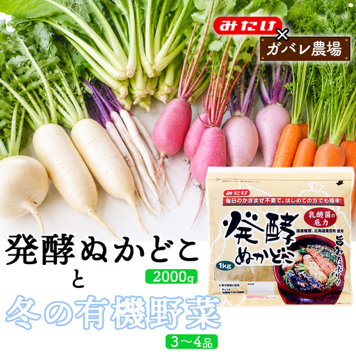 [コラボD]発酵ぬかどこ1kg×2&冬の有機野菜3〜4品 No.619