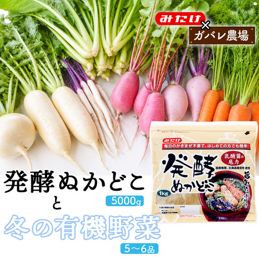 【コラボF】発酵ぬかどこ1kg×5＆冬の有機野菜5～6品 No.621