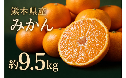 贈答用 熊本県産 みかん 約9.5kg 鮮度 贈り物 果物 くだもの フルーツ 柑橘系 柑橘類 みかん ミカン 果汁 果肉 国産 贈答品 【 2026年11月上旬発送開始 】