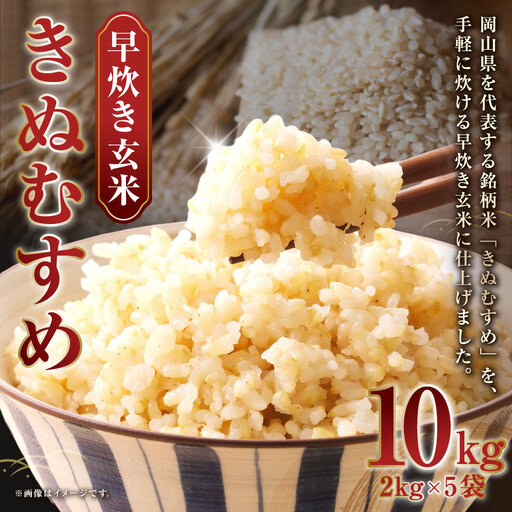 [ 令和7年産 ] 岡山県産 きぬむすめ 早炊き 玄米 10kg ( 2kg × 5袋 ) お米 米 こめ 白米 白飯 飯 ご飯 おにぎり ブランド米 ブランド 国産 コメ 洗米不要