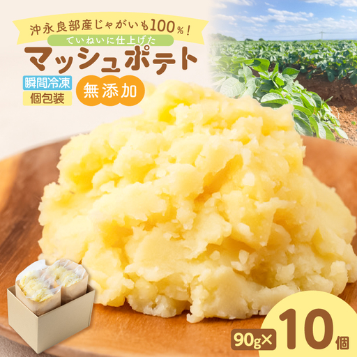 沖永良部産 じゃがいも 100%!ていねいに仕上げた 無添加 マッシュポテト 90g×10個 W071-001-01 離乳食 介護食