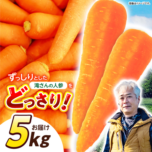 ※[2026年11月下旬より順次発送/先行予約]滝さんの人参 5kg / にんじん ニンジン 人参 carrot やさい 野菜 にんじんジュース ジュース ニンジンジュース キャロット キャロット / 諫早市 / 滝商店株式会社[AHCU007]