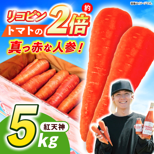 ※[2027年1月上旬より順次発送/先行予約][甘みと栄養たっぷり!]真っ赤な人参「紅天神」 5kg / にんじん ニンジン 人参 carrot やさい 野菜 にんじんジュース ジュース ニンジンジュース キャロット キャロット / 諫早市 / 滝商店株式会社[AHCU008]