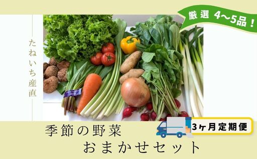 【3ヵ月定期便】季節のお野菜おまかせセット（4～5品程度）