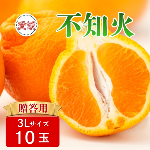 【2027年先行予約】みかん 不知火 3Lサイズ 10玉 贈答用 【2027年3月中旬順次発送予定】 数量限定 愛媛みかん ミカン 蜜柑 果物 くだもの フルーツ 柑橘 かんきつ 柑橘類 おすすめ 人気 国産 伊予市 愛媛｜B564
