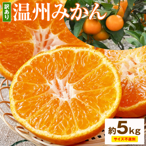 みかん ご家庭用 温州みかん 約5kg