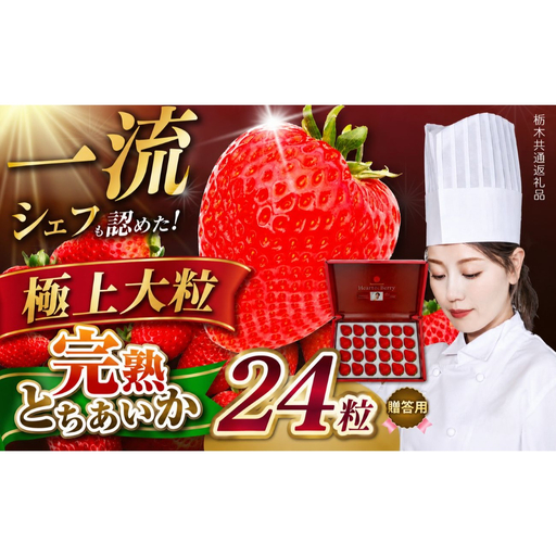 栃木県産 完熟とちあいか ギフトボックス 《大粒極上》 贈答用 ボックス（24粒）　栃木県 矢板市