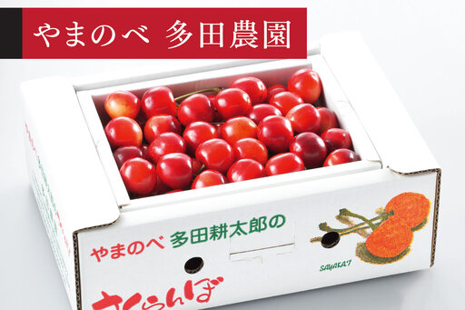 [先行予約]2027年産 山形県産 さくらんぼ「真夏のルビー紅姫」バラ詰 500g やまのべ多田耕太郎のさくらんぼ tn-bhxbp500