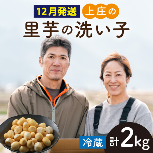 【先行予約】【12月発送】皮むきいらず、煮っ転がしに最適！上庄の里芋の洗い子【冷蔵】2kg