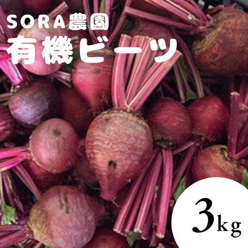[6月上旬〜順次発送]SORA農園の有機ビーツ3kg 有機野菜 有機農園 オーガニックファーム オーガニック野菜 有機栽培 ビーツ