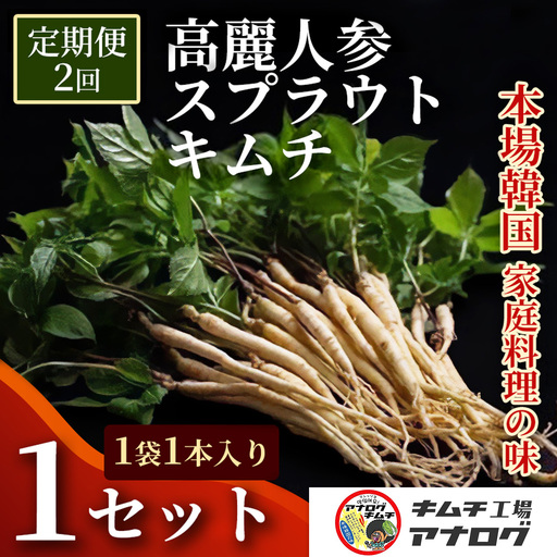 [2カ月定期便]熟成秘伝の高麗人参スプラウトキムチ(1本入り×1袋)(H104183)