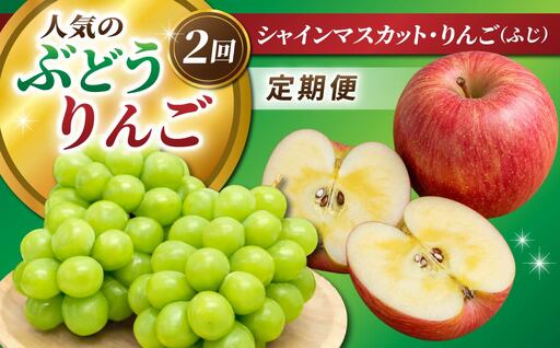 人気のぶどう・りんご2回定期便(シャインマスカット・ふじ)|JA信州うえだ農業協同組合 長野県 東御市産