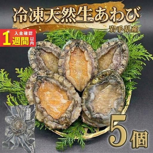 【スピード発送】 冷凍 蝦夷あわび 5個