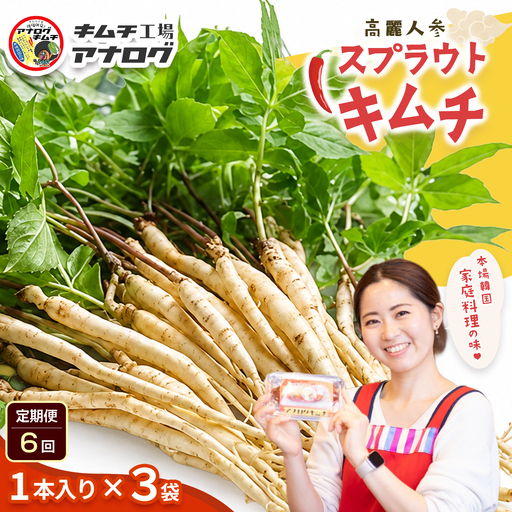 【6カ月定期便】熟成秘伝の高麗人参スプラウトキムチ(1本入り×3袋)(H104194)