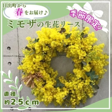 【2027年3月より順次発送予定】日出町から春をお届け♪ふわふわのミモザをたっぷり使ったリース【配送不可地域：離島】【1742524】