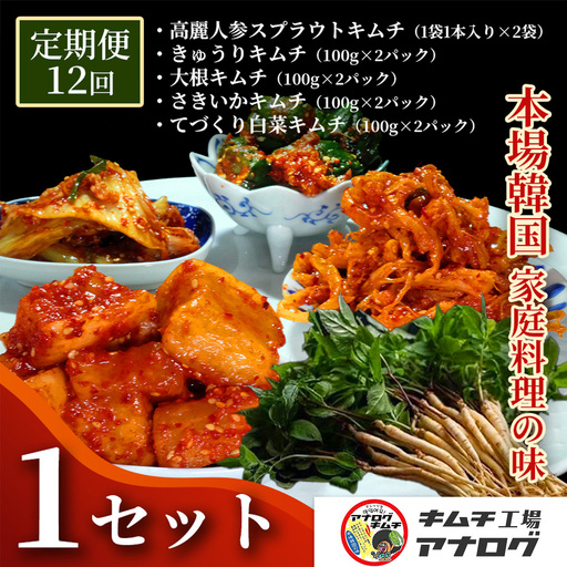 【12カ月定期便】5種の本格キムチ食べ比べ 4種のキムチ(各100g×2パック)＋スプラウトキムチ(1本入り×2袋)(H104269)