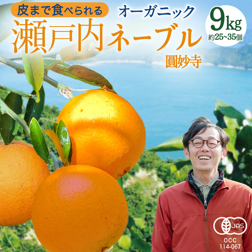 【 先行予約 】 瀬戸内 オーガニック 圓妙寺 ネーブル 9kg ( 25～35個程度 )+お試しオーガニックレモン1個 【2027年1月中旬以降発送】 