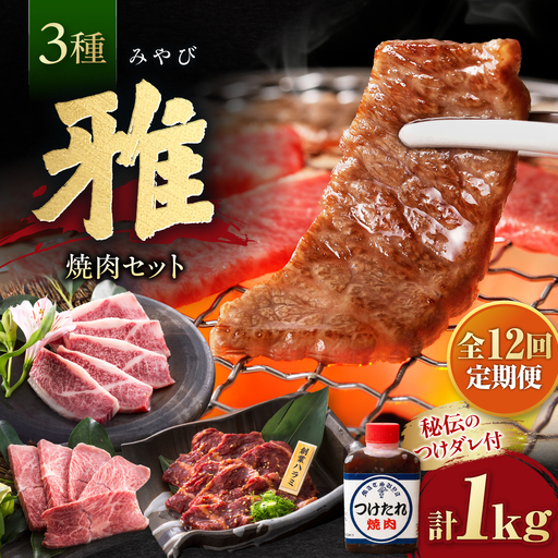【全12回定期便】焼肉セット 雅 1kg / 肉 牛肉 牛 焼肉 焼き肉 やきにく BBQ バーベキュー キャンプ アウトドア 鉄板焼き セット 詰め合わせ 食べ比べ 国産 冷凍 小分け ハラミ カルビ バラ バラ肉 上カルビ 1kg 味付き タレ 簡単調理 ギフト / 大阪府藤井寺市/株式会社 松屋[BLCD010]