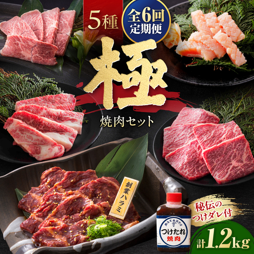 【全6回定期便】焼肉セット 極 1.2kg / 肉 牛肉 牛 焼肉 焼き肉 やきにく BBQ バーベキュー キャンプ アウトドア 鉄板焼き セット 詰め合わせ 食べ比べ 国産 冷凍 小分け ミノ ホルモン ロース ハラミ カルビ バラ バラ肉 上カルビ 約 1kg / 大阪府藤井寺市/株式会社 松屋[BLCD012]