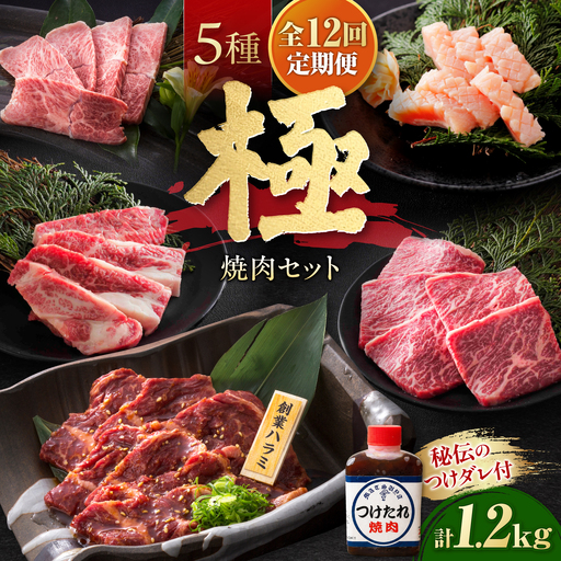【全12回定期便】焼肉セット 極 1.2kg / 肉 牛肉 牛 焼肉 焼き肉 やきにく BBQ バーベキュー キャンプ アウトドア 鉄板焼き セット 詰め合わせ 食べ比べ 国産 冷凍 小分け ミノ ホルモン ロース ハラミ カルビ バラ バラ肉 上カルビ 約 1kg / 大阪府藤井寺市/株式会社 松屋[BLCD013]