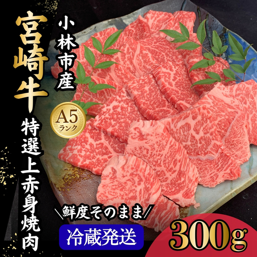 [新鮮チルド発送!!]A5等級宮崎牛特選上赤身焼肉 300g(黒毛和牛 牛肉 宮崎牛 赤身 焼肉用 宮崎県)