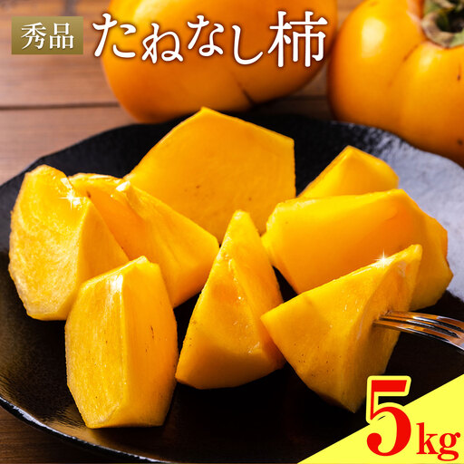 たねなし柿 秀品 5kg 農業福祉研究機構《9月上旬-11月上旬頃出荷》