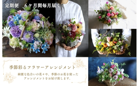 ~定期便~季節彩るフラワーアレンジメント 花 はな 定期便 毎月 季節 6ヶ月 6カ月 アレンジメント おしゃれ オシャレ インテリア