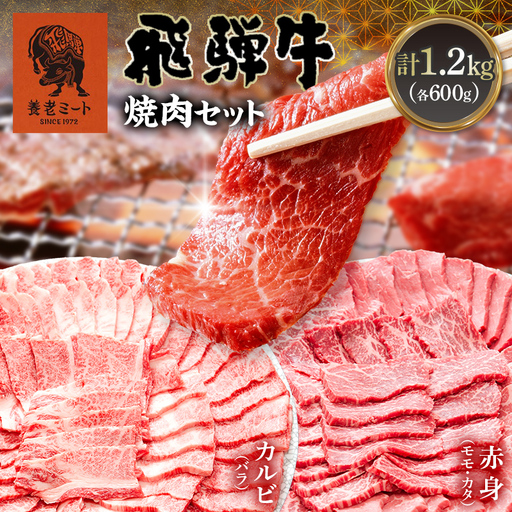 飛騨牛 焼肉セット 1.2kg 焼肉 BBQ 牛肉 和牛 肉 霜降り バラカルビ 赤身 モモ カタ 詰め合わせ ギフト 御祝 内祝 6人前 大容量 岐阜県 坂祝町 養老ミート  F6M-395