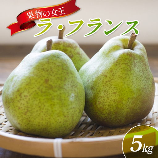 果物の女王 山形県産ラ・フランス 5kg FSY-2895