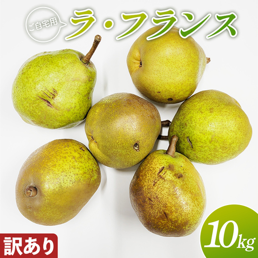 【訳あり】ご自宅用 山形県産ラ・フランス 10kg FSY-2896