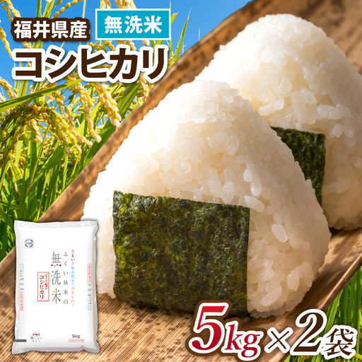 令和8年産 福井県産コシヒカリ[無洗米 5kg×2袋] [B-014023] 白米