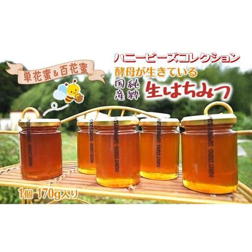 国産純粋生はちみつ ハニービーズコレクション“しろいの季節”のはちみつ 170g 純粋はちみつ 非加熱 添加物なし 百花蜜 単花蜜 国産はちみつ 生はちみつ100% 美味しい