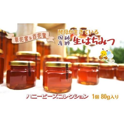 国産純粋生はちみつ ハニービーズコレクション“しろいの季節” 80g お試しサイズ 純粋はちみつ 非加熱 添加物なし 百花蜜 単花蜜 国産はちみつ 生はちみつ100% 美味しい