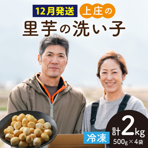 【先行予約】【12月発送】上庄の里芋の洗い子【冷凍】計2kg 里芋