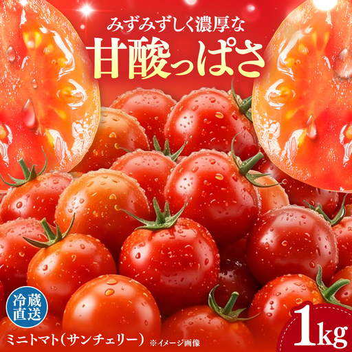 【甘みと酸味の黄金比】 ミニトマト 1kg 《対馬市》【みのり農園】 野菜 とまと[WDC001]