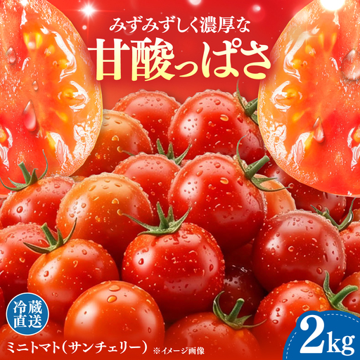 【甘みと酸味の黄金比】 ミニトマト 2kg 《対馬市》【みのり農園】 野菜 とまと[WDC002]