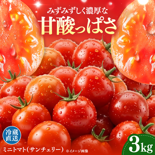 【甘みと酸味の黄金比】 ミニトマト 3kg 《対馬市》【みのり農園】 野菜 とまと[WDC003]
