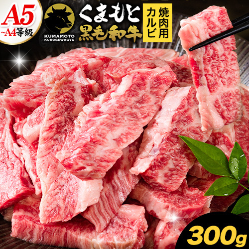 くまもと黒毛和牛 上 カルビ 焼肉 切り落とし 300g 《30日以内に出荷予定(土日祝除く)》熊本県 南関町 上カルビ 焼肉用 黒毛和牛 焼肉 肉 お肉 和牛 A5 A4 300g 小分け