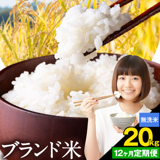 [12ヶ月定期便]米 南関町 単一原料米 (ひのひかりorにこまるorくまさんの輝き) 無洗米 20kg[お申込み翌月から出荷]熊本県産 国産 無洗米 こめ コメ 20キロ