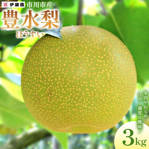 市川の梨　豊水　6玉～8玉　【12203-0457】 なし ナシ 市川のなし 果物 くだもの フルーツ 市川市 梨の伊藤園