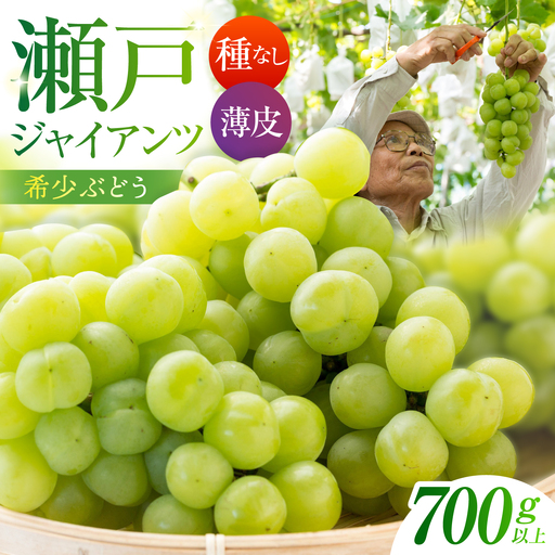 【先行予約】 瀬戸ジャイアンツ 700g以上 【小林農園】 / ブドウ ぶどう 果物 種なし[HAX005]