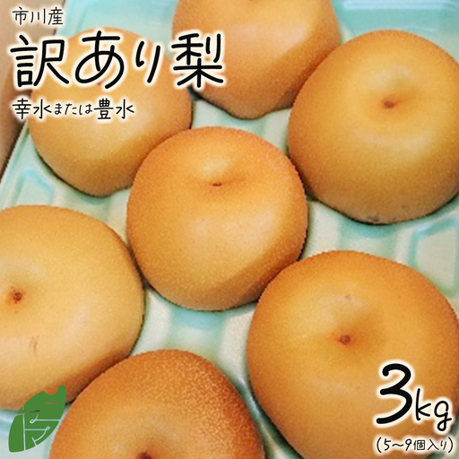 市川産　訳あり梨　3kg（品種おまかせ）　【12203-0464】 なし ナシ 市川のなし 果物 くだもの フルーツ 訳アリ 家庭用 市川市 ヤマニ果樹農園